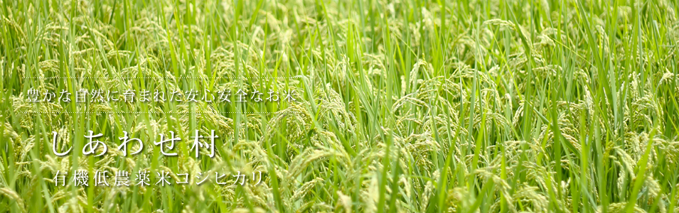 豊かな自然に育まれた安心安全なお米 しあわせ村 有機低農薬米コシヒカリ